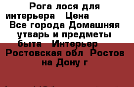 Рога лося для интерьера › Цена ­ 3 300 - Все города Домашняя утварь и предметы быта » Интерьер   . Ростовская обл.,Ростов-на-Дону г.